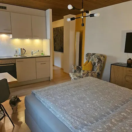 Walter Apartment *